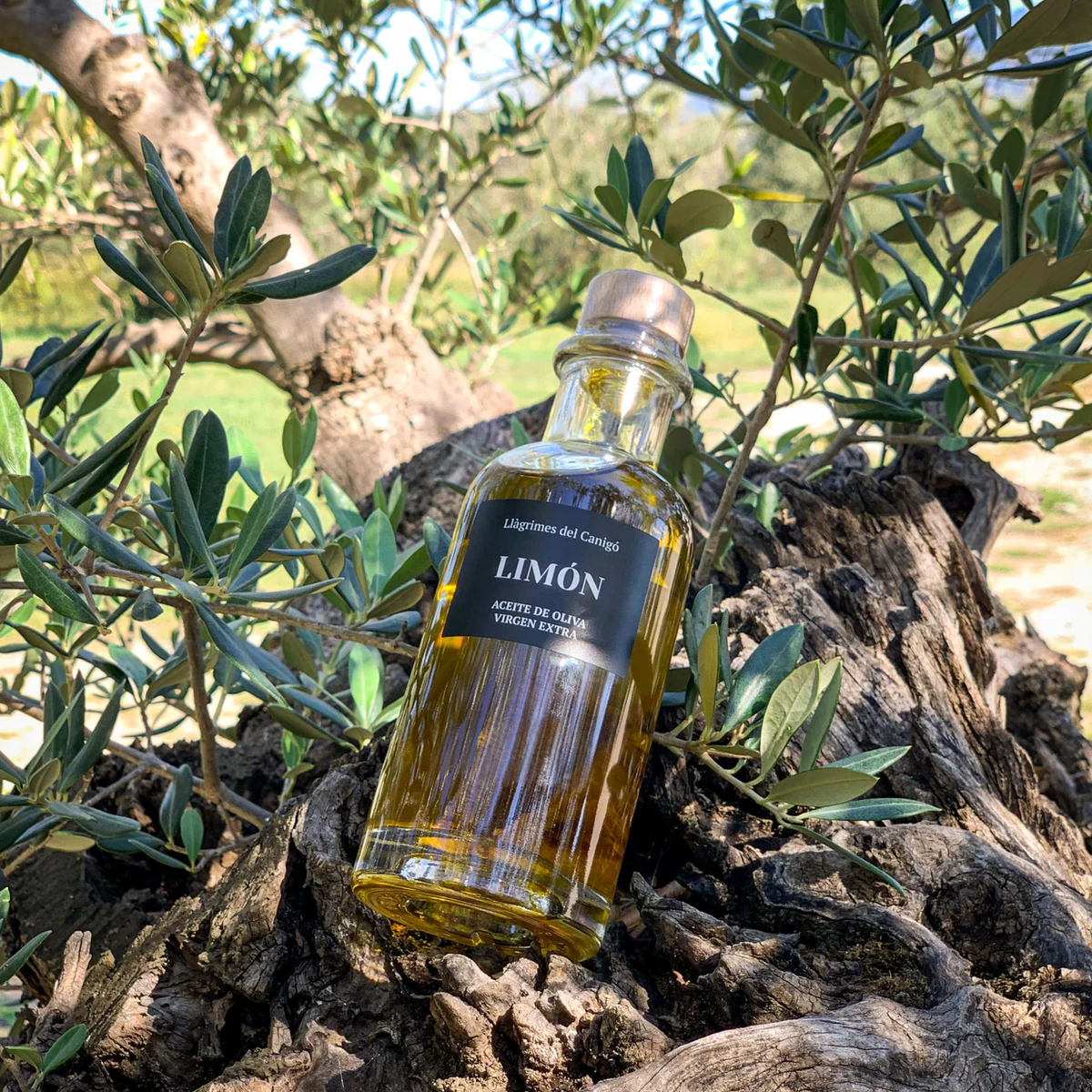 Aceite de Oliva Virgen Extra Limón Llàgrimes
